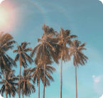 Summers